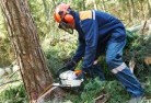 Redcastletree-cutting-services-21.jpg; ?>